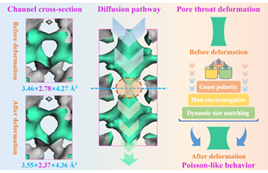 Poisson-like anisotropic deformation in flexible COFs for highly selective hydrocarbon separation 2026.100985